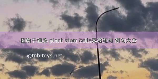 植物干细胞 plant stem cells英语短句 例句大全