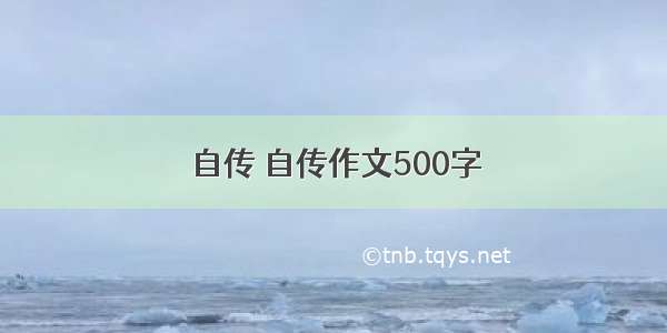 自传 自传作文500字