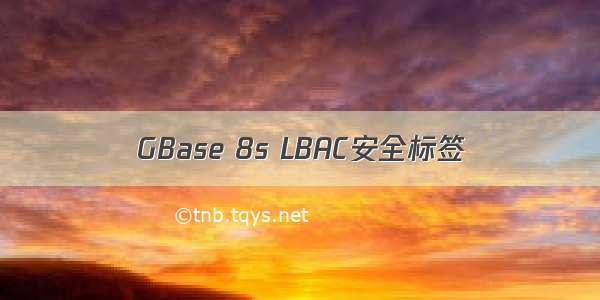 GBase 8s LBAC安全标签