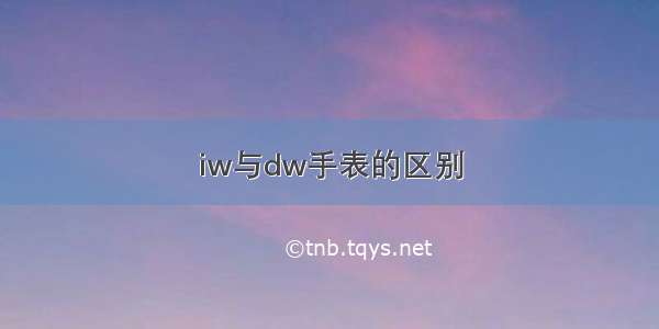 iw与dw手表的区别