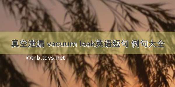 真空泄漏 vacuum leak英语短句 例句大全