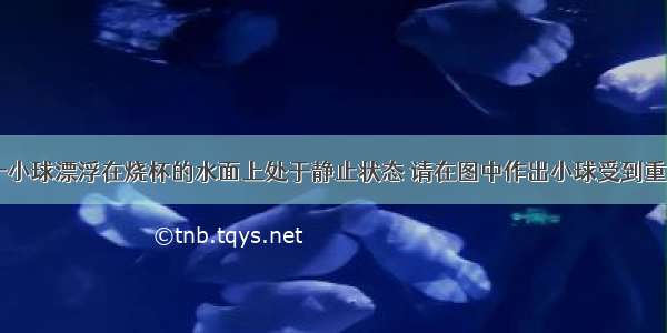 如图所示 一小球漂浮在烧杯的水面上处于静止状态 请在图中作出小球受到重力的示意图．