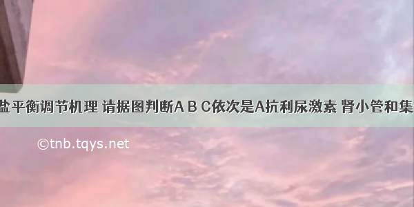 下图为水盐平衡调节机理 请据图判断A B C依次是A抗利尿激素 肾小管和集合管 下丘