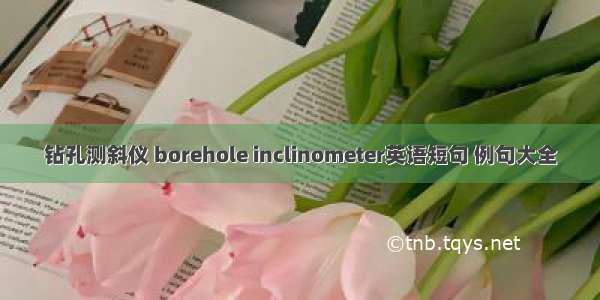 钻孔测斜仪 borehole inclinometer英语短句 例句大全