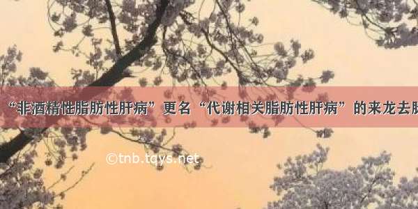 “非酒精性脂肪性肝病”更名“代谢相关脂肪性肝病”的来龙去脉