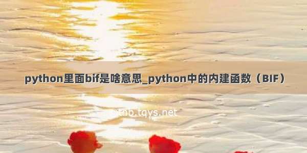 python里面bif是啥意思_python中的内建函数（BIF）