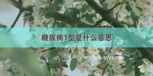 糖尿病1型是什么意思