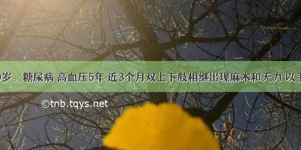 女性 60岁。糖尿病 高血压5年 近3个月双上下肢相继出现麻木和无力 以手和足为