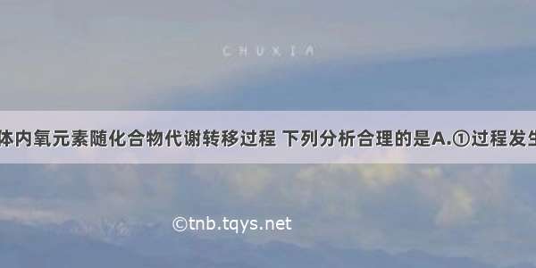 下图表示人体内氧元素随化合物代谢转移过程 下列分析合理的是A.①过程发生在核糖体中