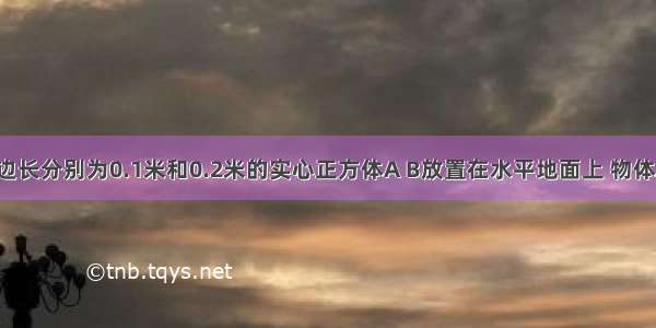 如图所示 边长分别为0.1米和0.2米的实心正方体A B放置在水平地面上 物体A B的质量