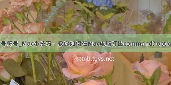 电脑怎么打出冒号符号_Mac小技巧：教你如何在Mac电脑打出command? option?等特殊符号...