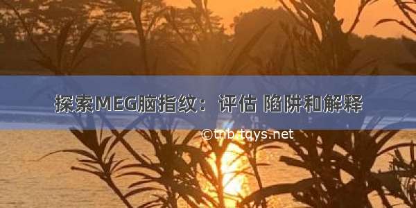 探索MEG脑指纹：评估 陷阱和解释