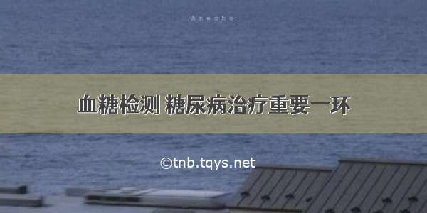 血糖检测 糖尿病治疗重要一环