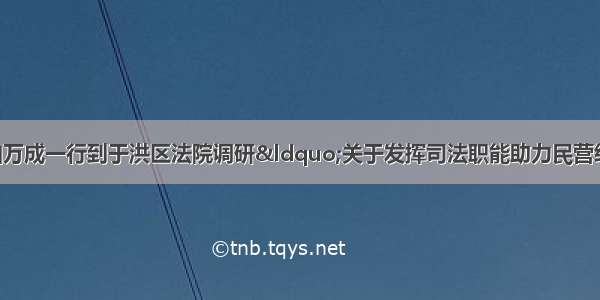 于洪区人大副主任曲万成一行到于洪区法院调研“关于发挥司法职能助力民营经济发展”工