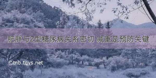 肥胖与2型糖尿病关系密切 减重是预防关键