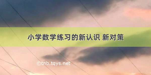 小学数学练习的新认识 新对策