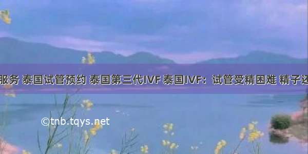 泰国医疗服务 泰国试管预约 泰国第三代IVF 泰国IVF：试管受精困难 精子还是卵子该