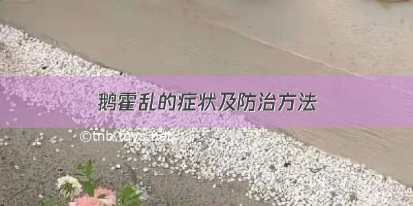 鹅霍乱的症状及防治方法