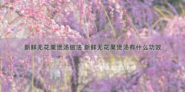 新鲜无花果煲汤做法 新鲜无花果煲汤有什么功效