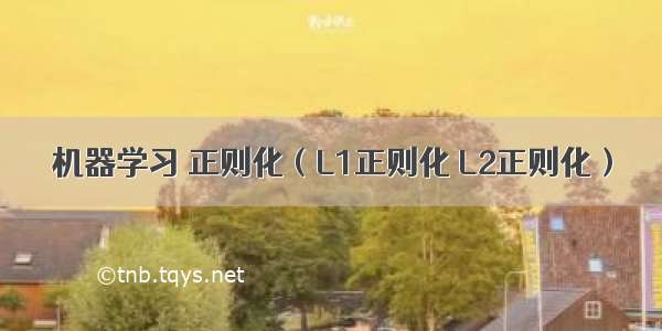 机器学习 正则化（L1正则化 L2正则化）