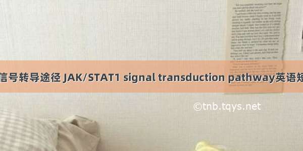 JAK/STAT1信号转导途径 JAK/STAT1 signal transduction pathway英语短句 例句大全