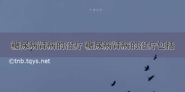 糖尿病肾病的治疗 糖尿病肾病的治疗包括