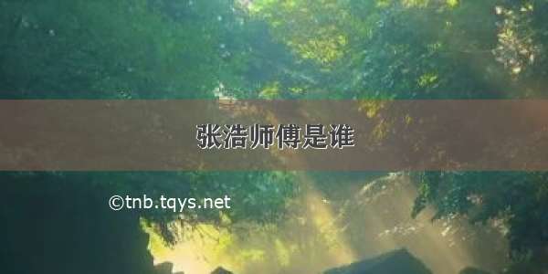 张浩师傅是谁