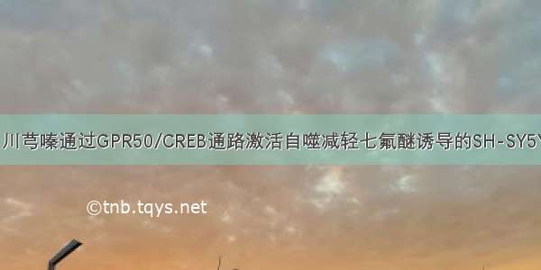 【产麻新谭】川芎嗪通过GPR50/CREB通路激活自噬减轻七氟醚诱导的SH-SY5Y细胞 神经毒性