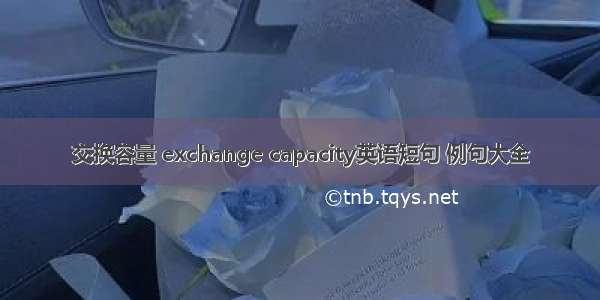 交换容量 exchange capacity英语短句 例句大全