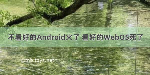 不看好的Android火了 看好的WebOS死了