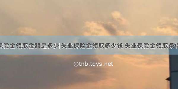 西安失业保险金领取金额是多少|失业保险金领取多少钱 失业保险金领取条件 失业保险