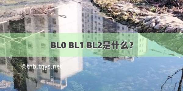 BL0 BL1 BL2是什么？