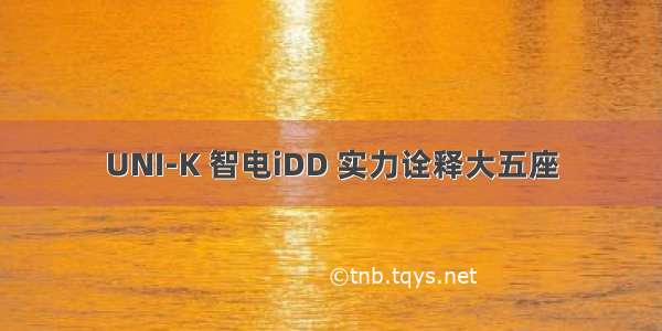 UNI-K 智电iDD 实力诠释大五座