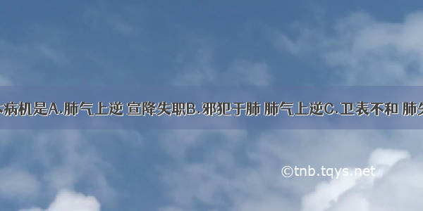 喘证的基本病机是A.肺气上逆 宣降失职B.邪犯于肺 肺气上逆C.卫表不和 肺失宣肃D.虚