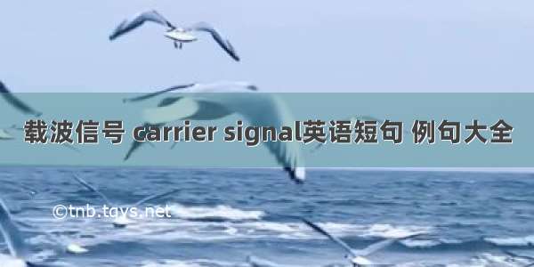 载波信号 carrier signal英语短句 例句大全