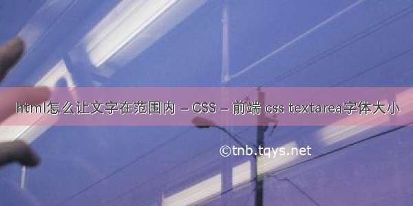 html怎么让文字在范围内 – CSS – 前端 css textarea字体大小