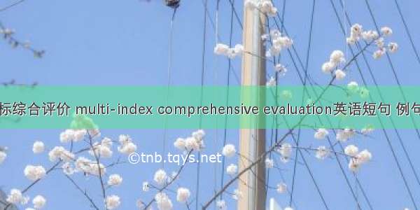 多指标综合评价 multi-index comprehensive evaluation英语短句 例句大全