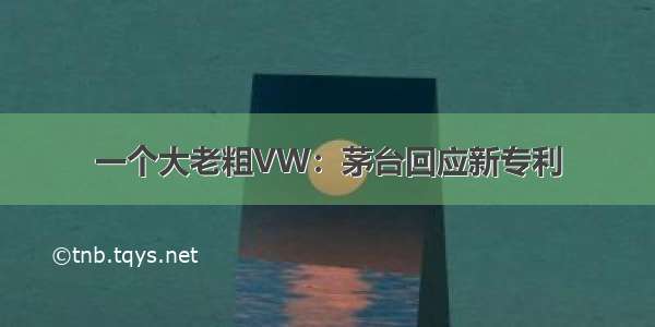 一个大老粗VW：茅台回应新专利