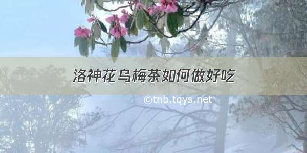 洛神花乌梅茶如何做好吃