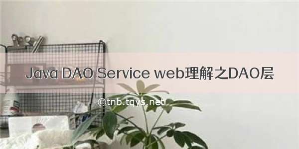 Java DAO Service web理解之DAO层