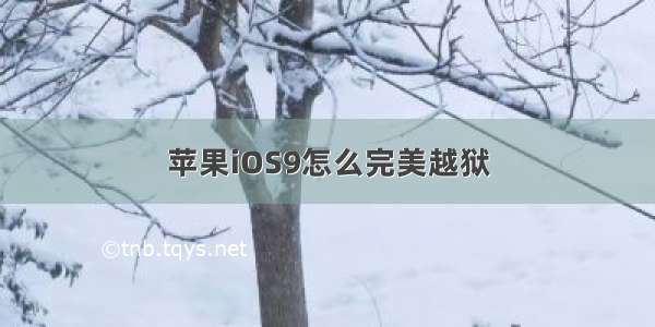 苹果iOS9怎么完美越狱