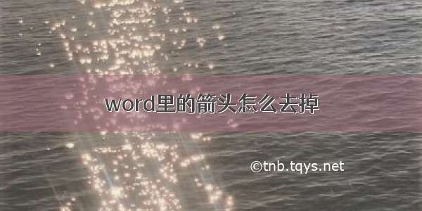 word里的箭头怎么去掉