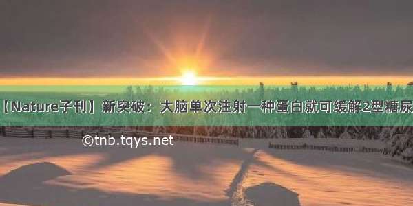 【Nature子刊】新突破：大脑单次注射一种蛋白就可缓解2型糖尿病