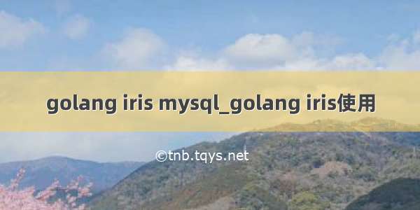 golang iris mysql_golang iris使用