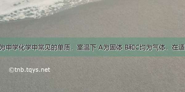 已知A B C为中学化学中常见的单质．室温下 A为固体 B和C均为气体．在适宜的条件下