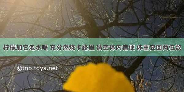 柠檬加它泡水喝 充分燃烧卡路里 清空体内宿便 体重变回两位数