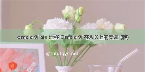 oracle 9i aix 迁移 Oracle 9i 在AIX上的安装 (转)