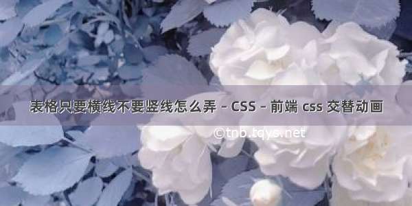 表格只要横线不要竖线怎么弄 – CSS – 前端 css 交替动画