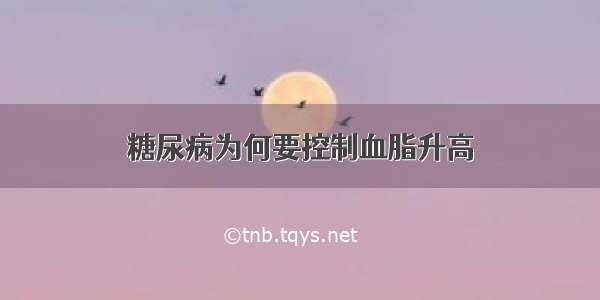 糖尿病为何要控制血脂升高