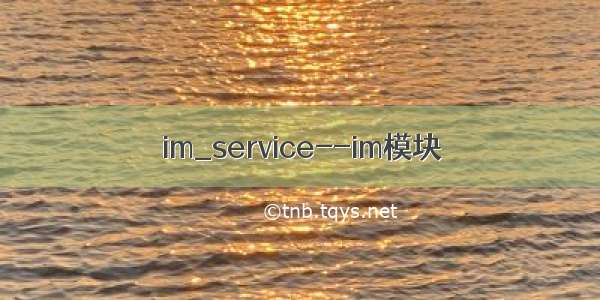 im_service--im模块